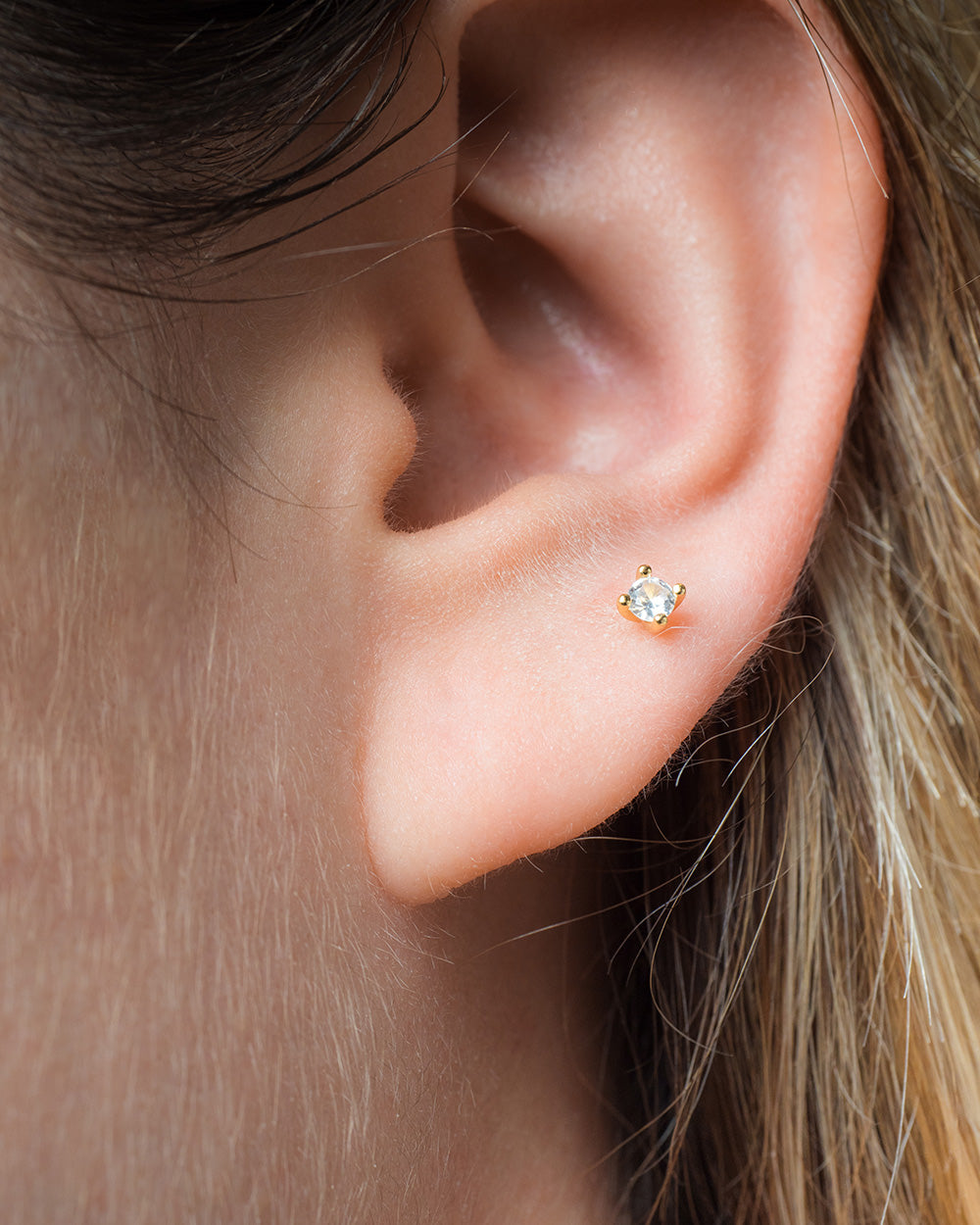 Piercing Briller Gold